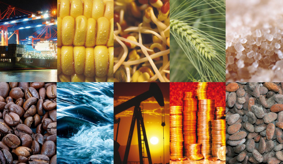 What Are Commodity Investments?