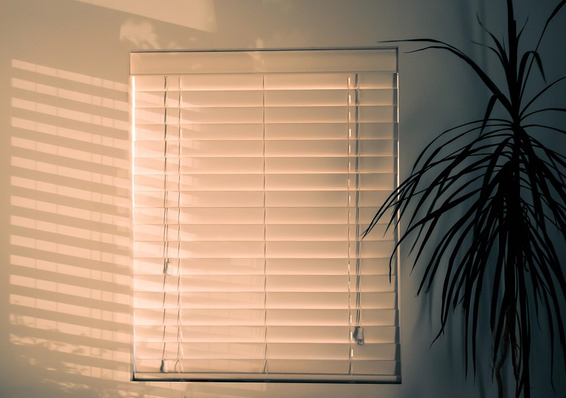 Bamboo Blinds Can Conceal A Dog Crate