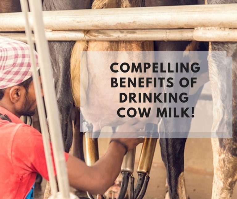 Compelling Benefits Of Drinking Cow Milk!